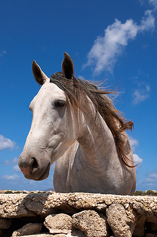 Favignana landscape photography